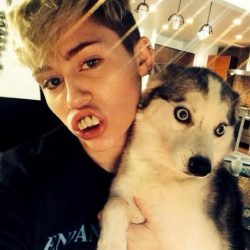 Miley Cyrus Expulsa a Sus Fans de Instagram