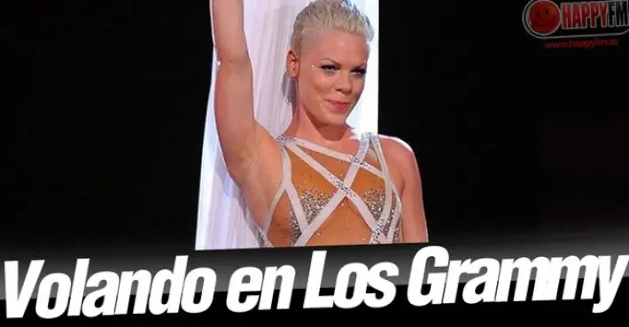 Grammy 2014: Pink, la Olvidada de la Noche