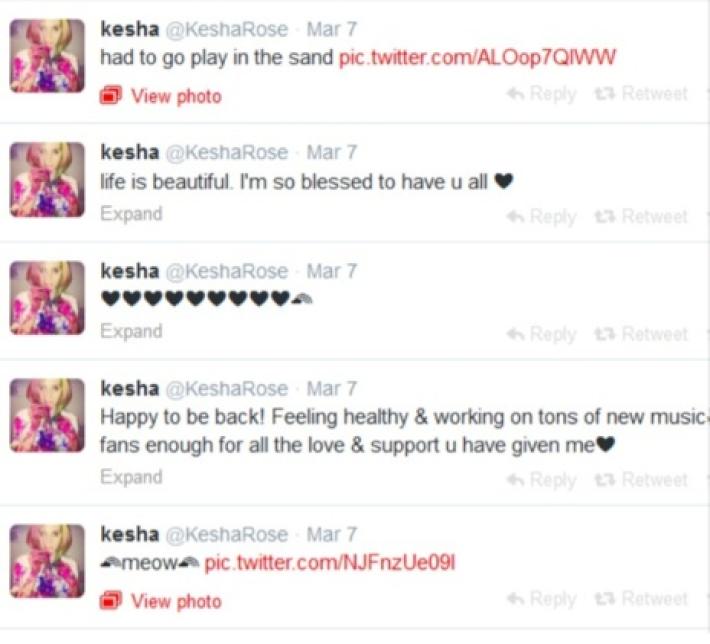 Kesha la Superviviente Vuelve a Twitter