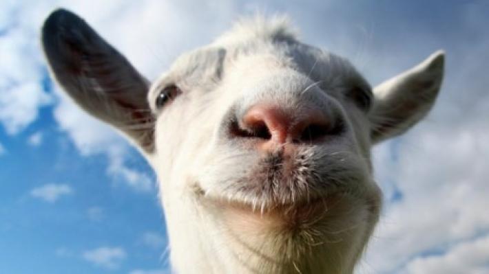 Goat Simulator: Soy una Cabra. Cómo Descargar el Juego
