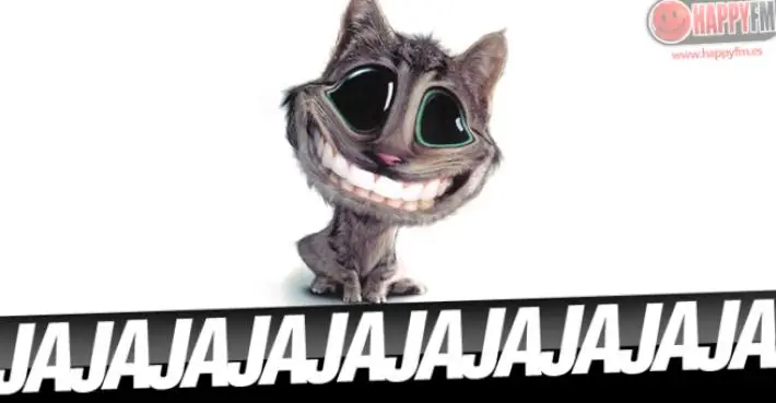 25 Fotos Divertidas Para Partirse de Risa