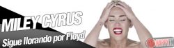 Miley Cyrus Llora en un Concierto Por la Muerte de su Perro Floyd