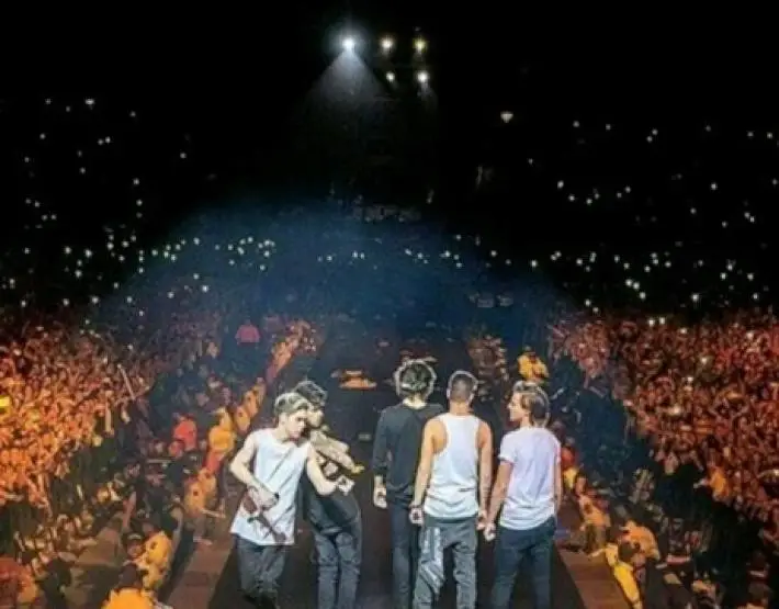 One Direction: Las Mejores Fotos de su Gira Por Argentina, Brasil, Chile…