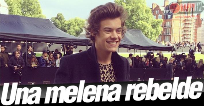Terror en One Direction: ¿Dónde está el pelo de Harry Styles?