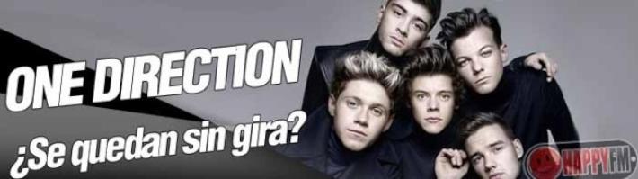 One Direction: Su Gira en Peligro