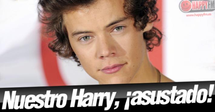 One Direction: Harry Styles Aterrorizado Sobre el Escenario