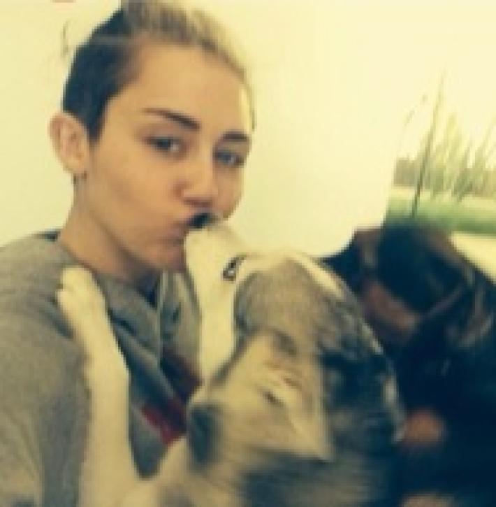 Instagram, la Peor Adicción de Miley Cyrus
