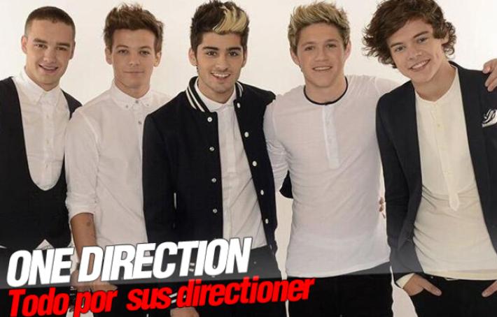 One Direction Para su Concierto Ante una Petición de Matrimonio