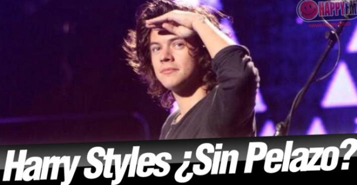 Harry Styles de One Direction y su Nuevo Peinado Radical