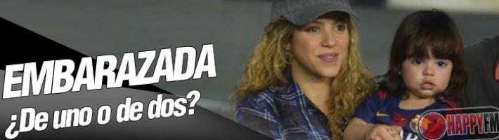 Shakira ¿Embarazada de Gemelos?
