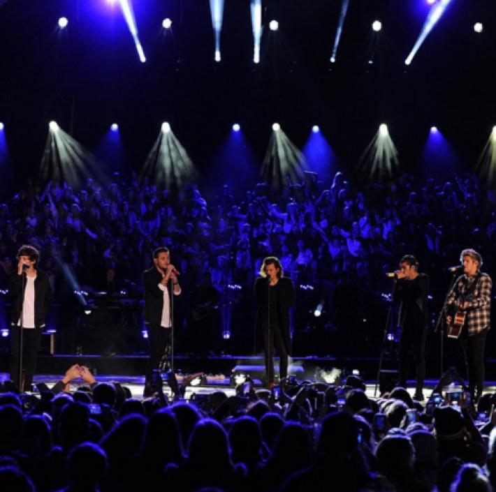 One Direction en 2015: ¿Será Este su Último Año Juntos?
