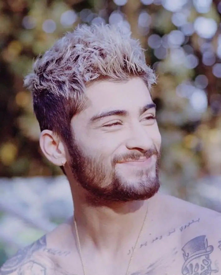 Zayn Malik Supera a Justin Bieber en Spotify