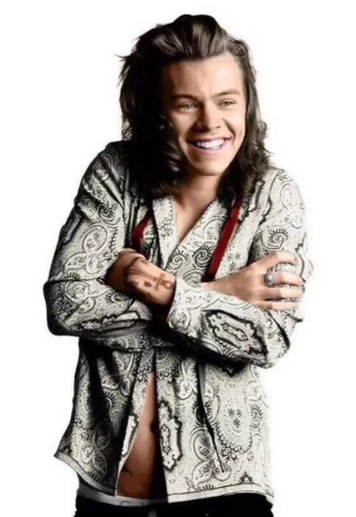 Harry Styles (One Direction): 22 Años en 22 Fotos
