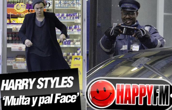 Harry Styles Multado por la Policía