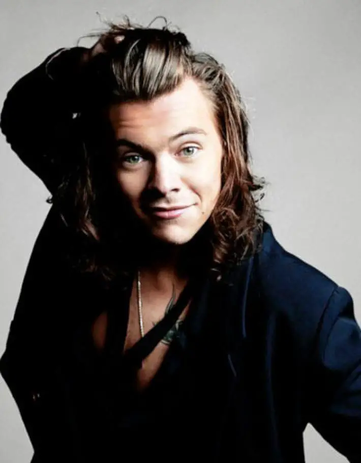 El Pelo de Harry Styles… ¿ex Componente de One Direction?