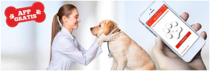 La App con la que los Famosos Salvan a sus Mascotas: UVI24 Urgencias Veterinarias