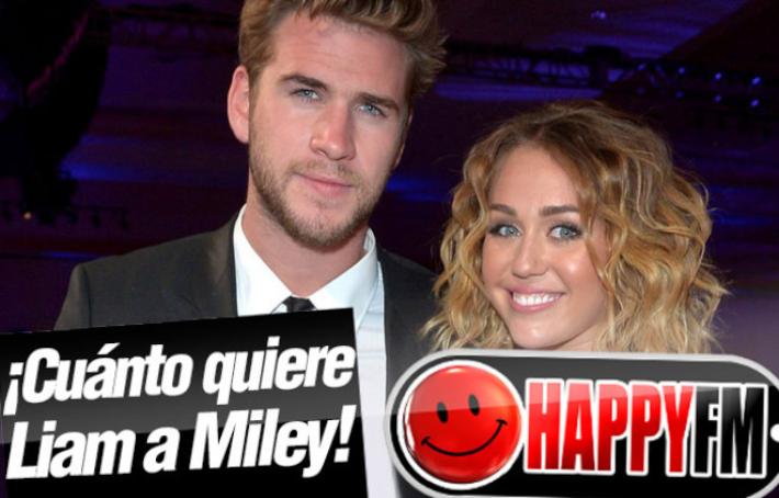 Liam Hemsworth Demuestra a Miley Cyrus su Amor