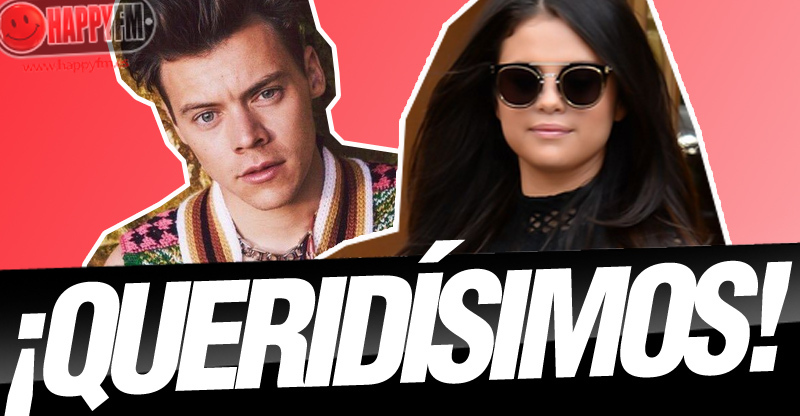 Harry Styles y Selena Gómez, Candidatos a la Presidencia