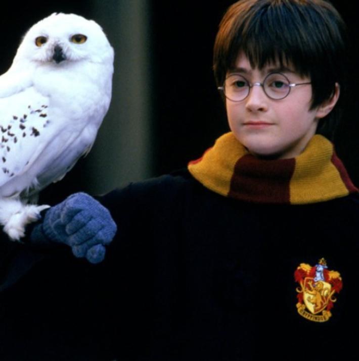 Harry Potter: La Lista Definitiva de los Personajes Más Queridos de la Saga