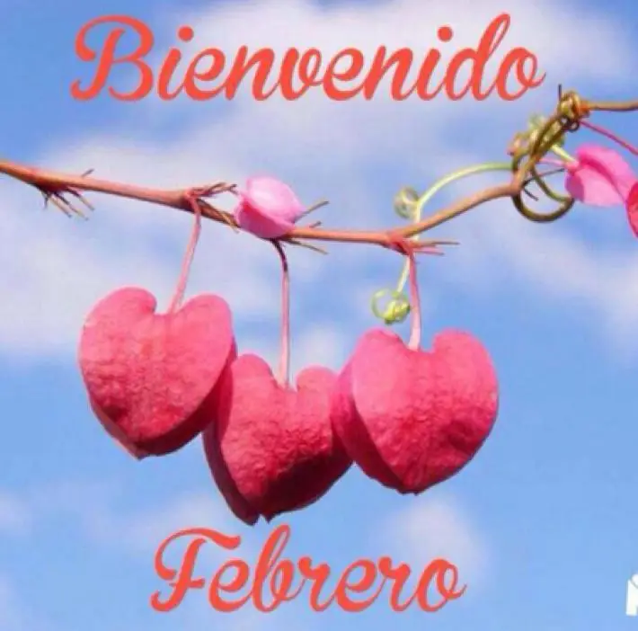 Bienvenido Febrero: 8 Fotos y Planes Para Recibir el Mes del Carnaval