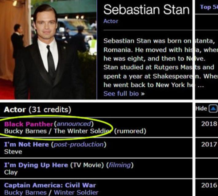 Sebastian Stan (Winter Soldier), ¿Confirmado para Black Panther?