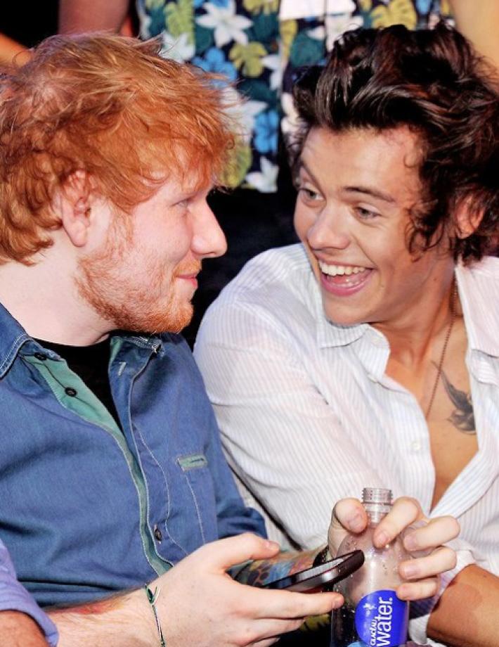 Harry Styles Descarta de su Disco la Canción Favorita de Ed Sheeran