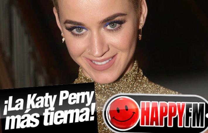 Katy Perry Protagoniza el Anuncio Más Tierno con una Compañía Especial