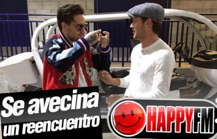 El Reencuentro Más Esperado Entre Niall Horan y Liam Payne Tras Meses Separados