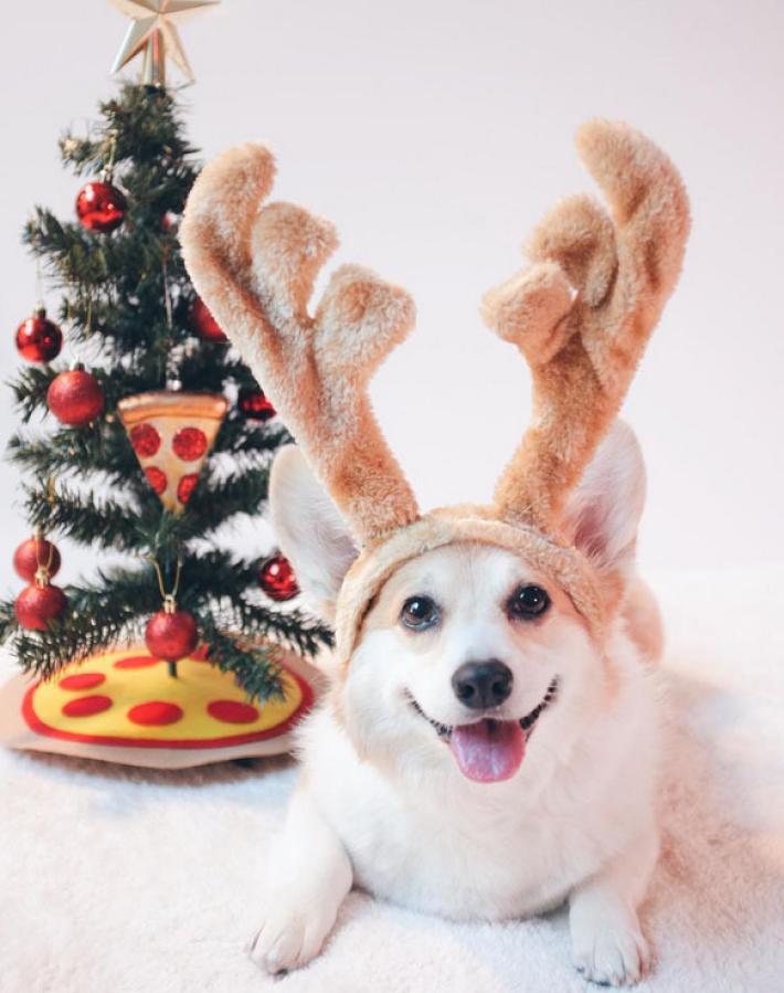 10 Fotos para Felicitar la Navidad en Instagram, Twitter y Facebook