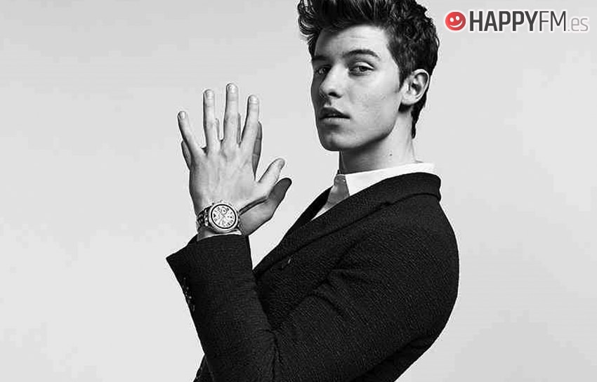 ¿Cómo se hizo Shawn Mendes la cicatriz que tiene en su mejilla?