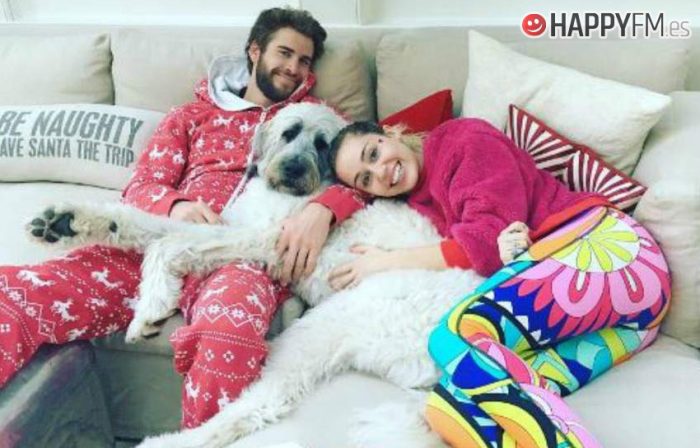 Miley Cyrus y Liam Hemsworth donan 500.000 dólares para esta importante causa