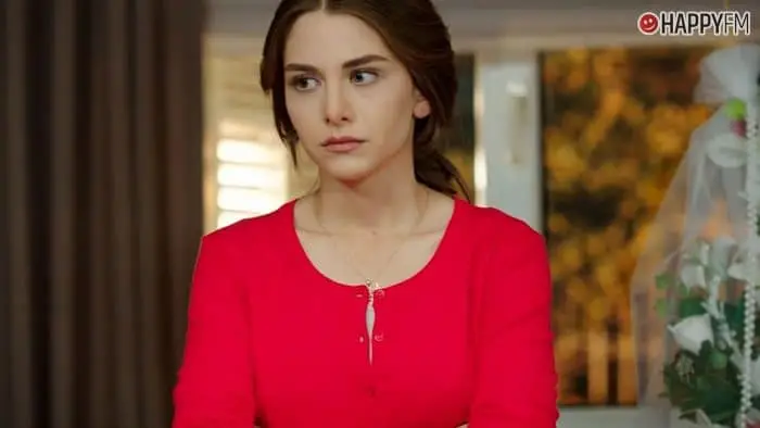 ‘Me robó mi vida’, capítulo 18: Alp decide pedir la mano de Bahar