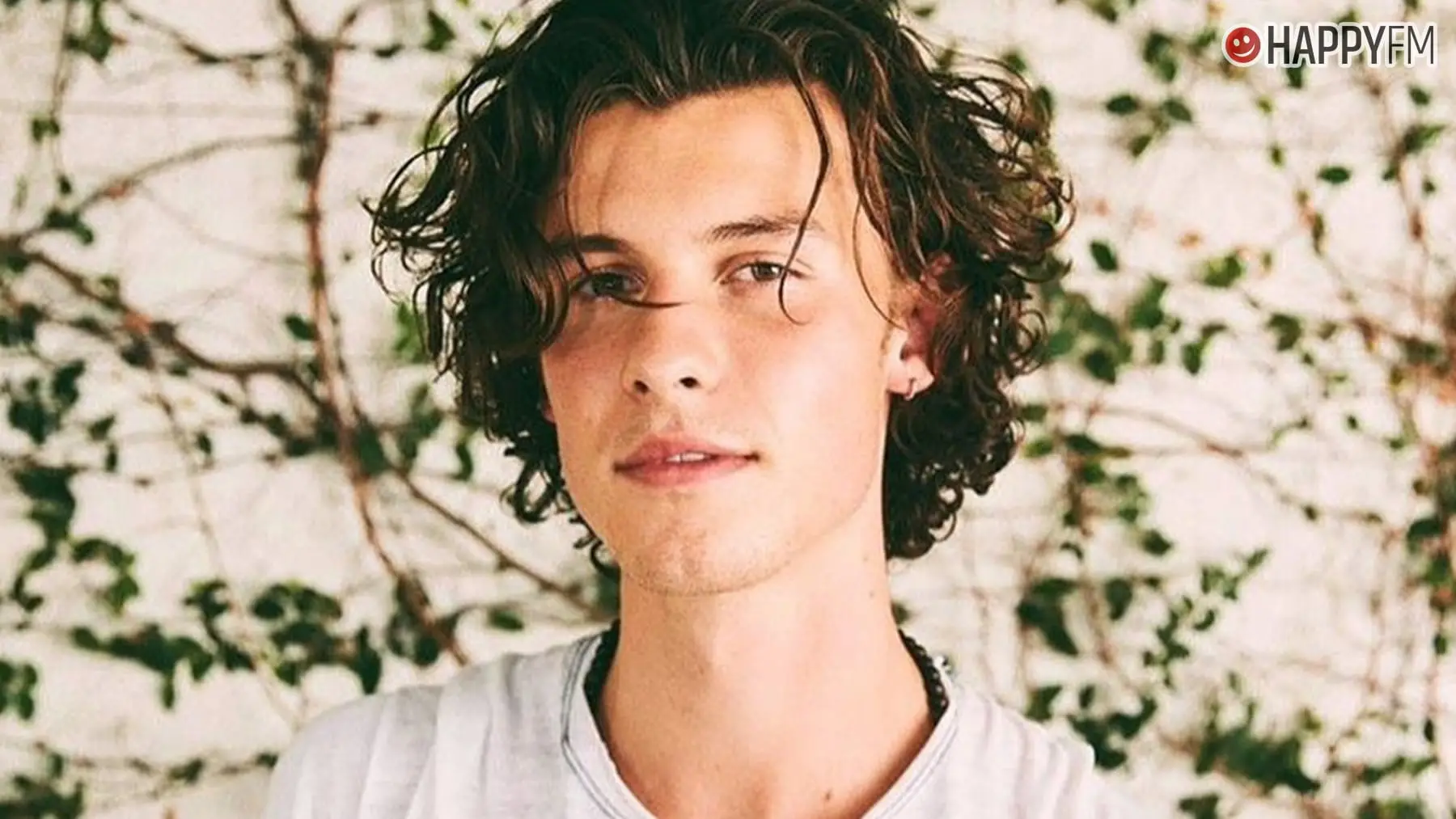 ‘It’ll be okay’, de Shawn Mendes: letra (en español) y vídeo