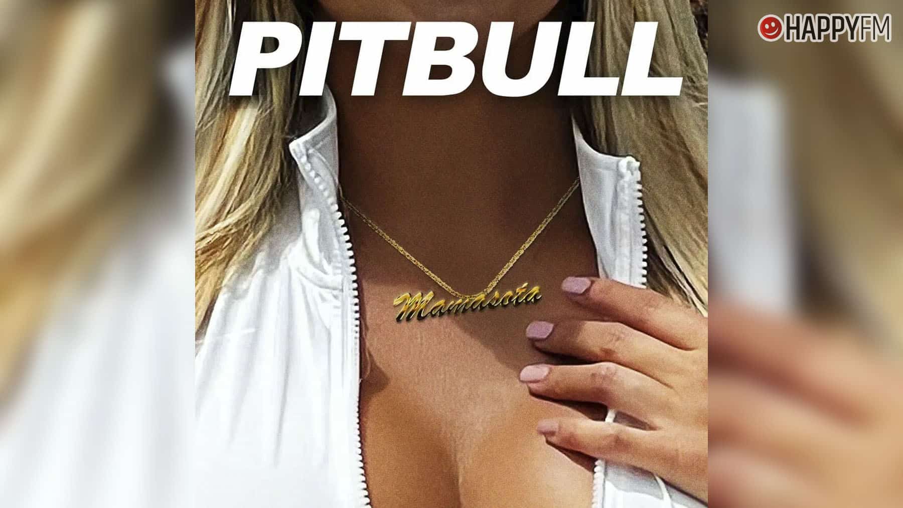 ‘Mamasota’, de Pitbull: letra y vídeo