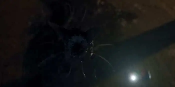 'Destino: La Saga Winx': mejores momentos de la temporada 2 de la serie de Netflix