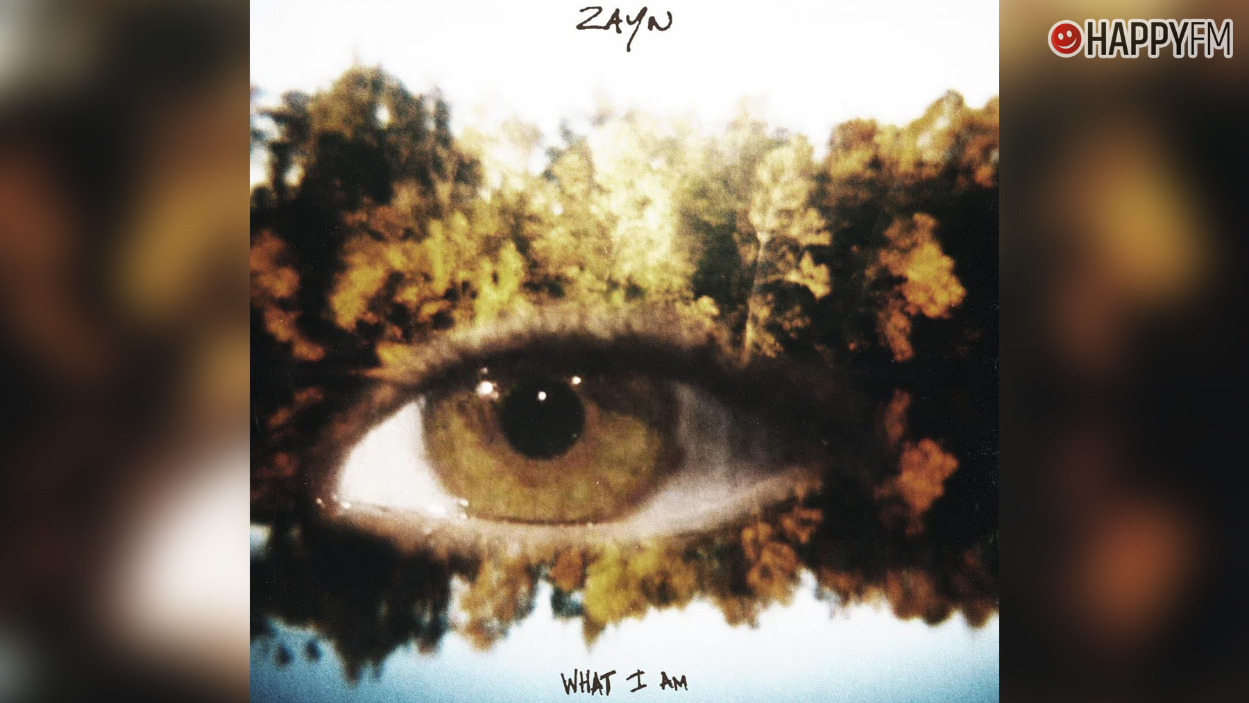 ‘What I Am’, de ZAYN: letra (en español) y vídeo