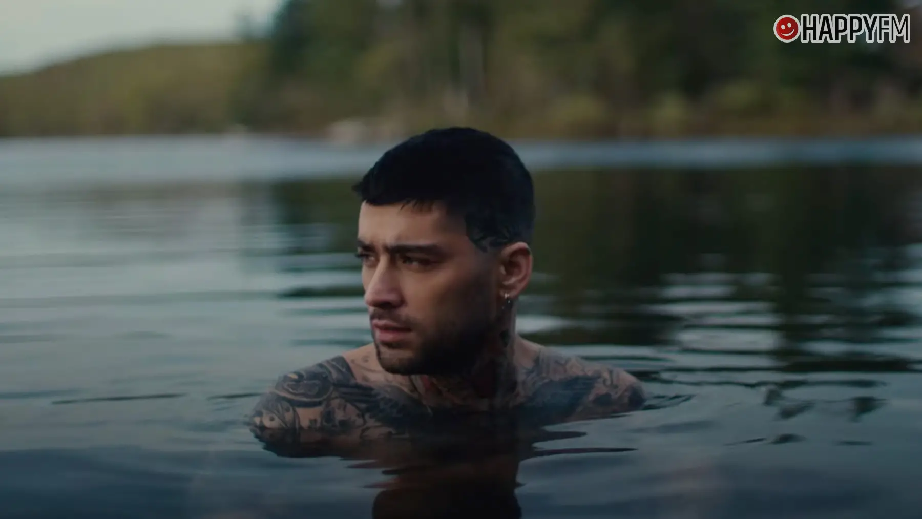 ‘Stardust’, de ZAYN: letra (en español) y vídeo