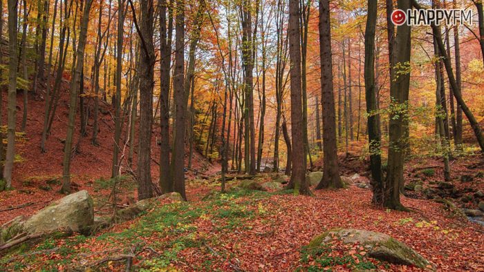 Canciones para enamorarse del otoño