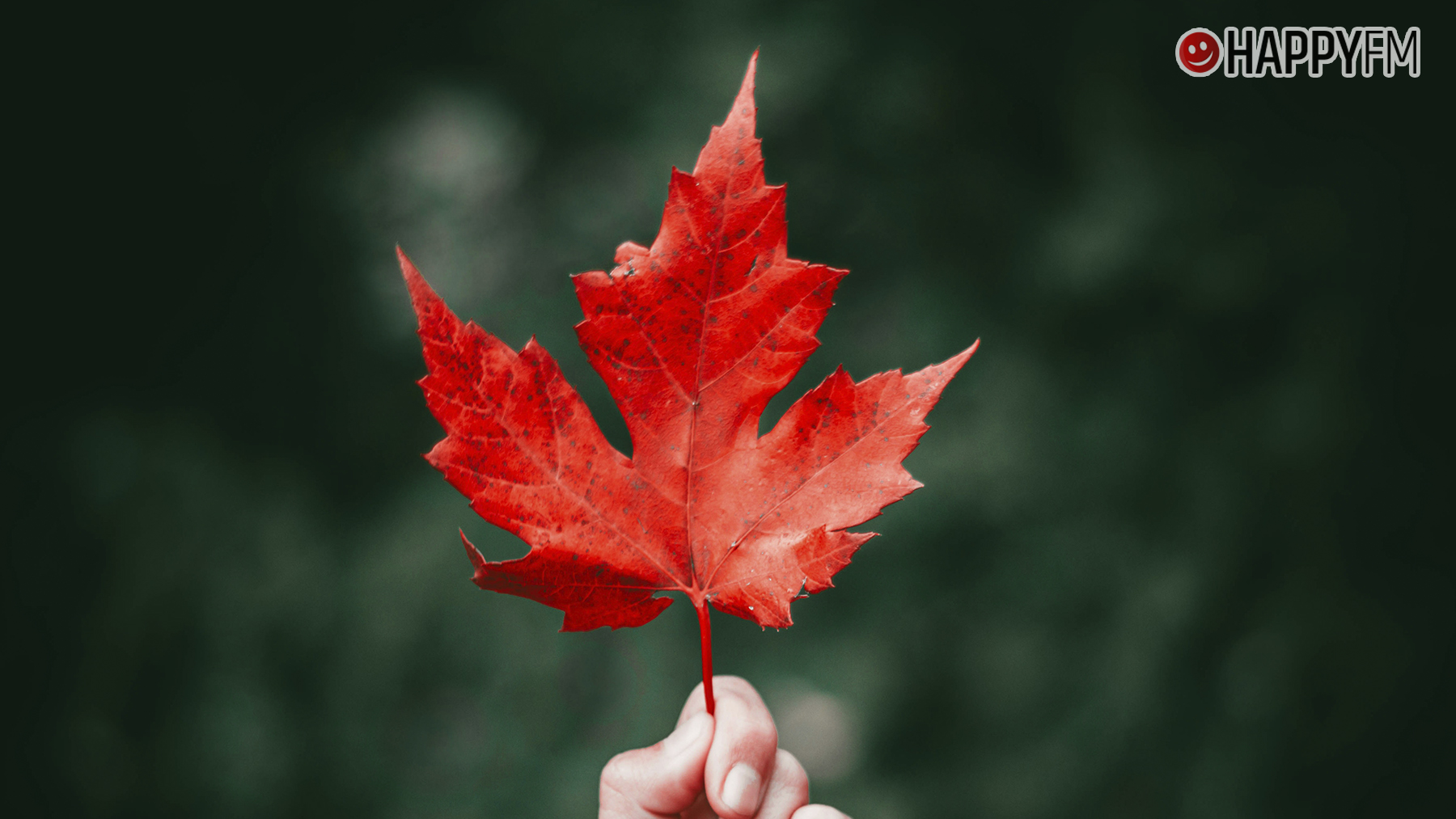 La mejor música para afrontar el otoño